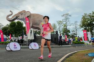 BIB: 
                            <button type="button" onclick="openModal(26528818)" class="btn btn-primary btn-sm float-right btn-popup" data-toggle="modal" data-target=".modal-high-quality">
                        <i class="fas fa-shopping-cart"></i> Add to Cart
                    </button>
                                            <button type="button" onclick="isThisMe(26528818, true)" class="btn btn-success btn-sm float-right btn-popup btn-isme hidden" data-toggle="tooltip" data-placement="bottom" title="นี่คือรูปของคุณใช่ไหม คลิกที่นี่เพื่อเอาเข้าอัลบั้ม">
                        <i class="fas fa-plus"></i> Add to album
                    </button>
                    <button type="button" onclick="isThisMe(26528818, false)" class="btn btn-warning btn-sm float-right btn-popup btn-isnotme hidden">
                        <i class="fas fa-ban"></i> Remove from album
                    </button>